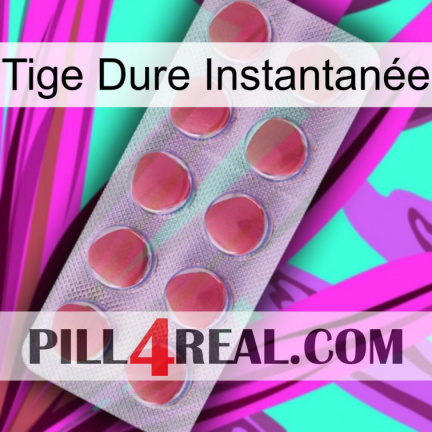 Tige Dure Instantanée 18